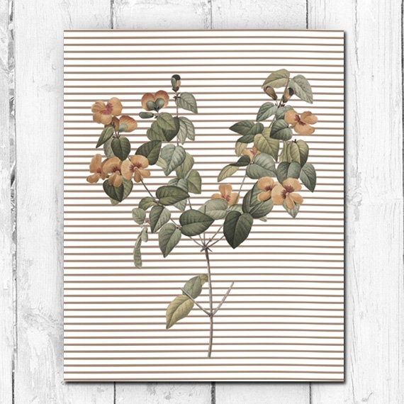 Spring Stem, Botanical Print