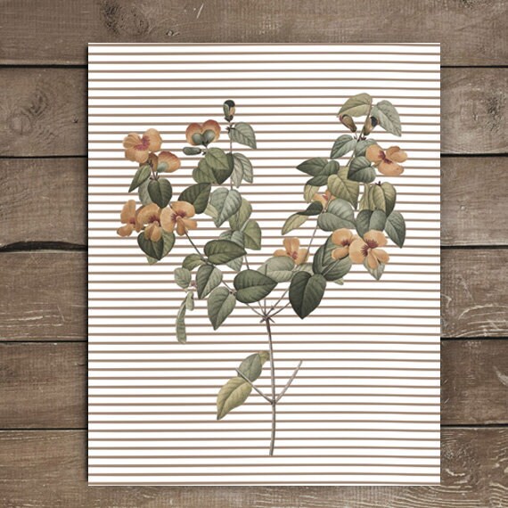 Spring Stem, Botanical Print