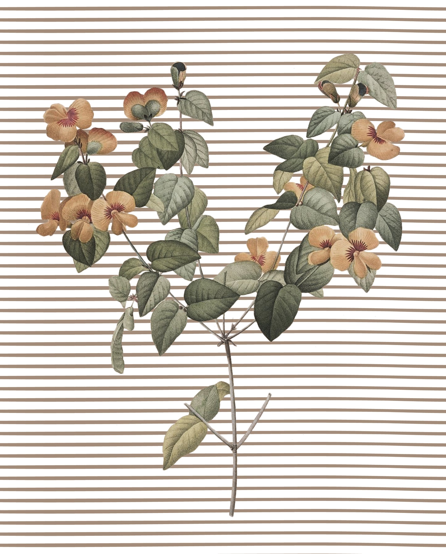 Spring Stem, Botanical Print