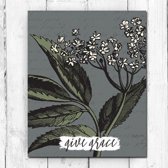 Give Grace, Botanical