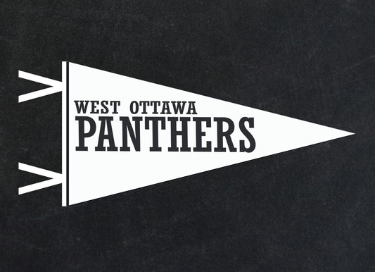 School Spirit Banner - Panthers
