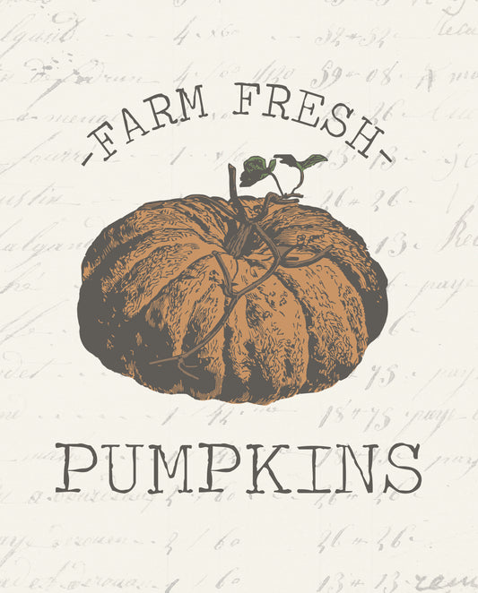 Farm Fresh Pumpkins