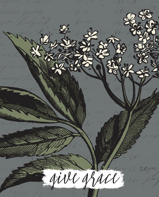 Give Grace, Botanical