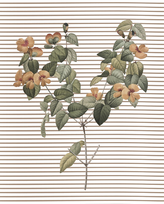 Spring Stem, Botanical Print