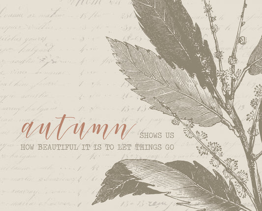 Autumn Show Us How Beautiful It Is To Let Things Go