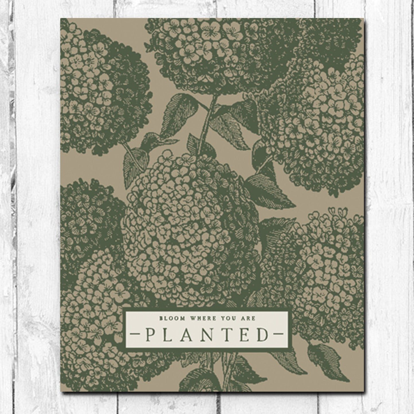 Bloom Where You Are Planted