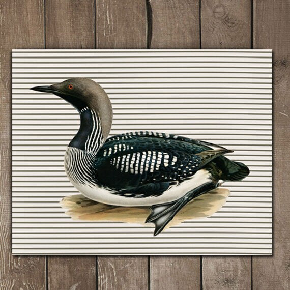 Loon