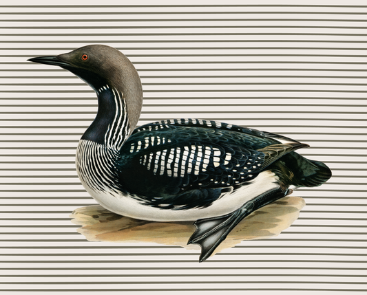 Loon