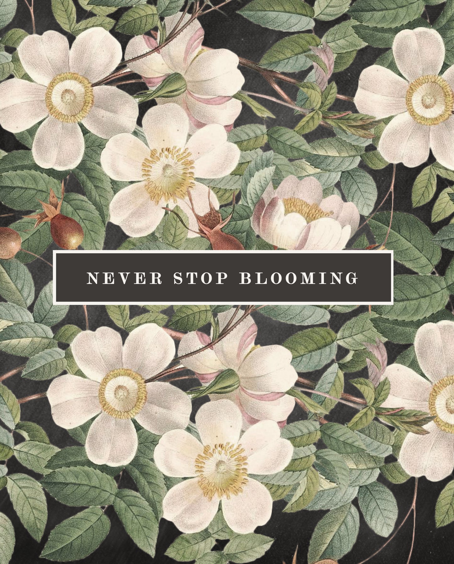 Never Stop Blooming