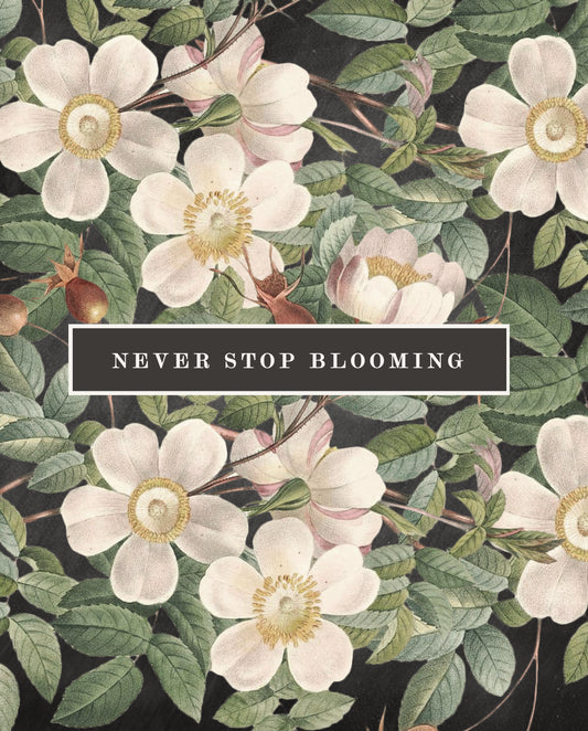 Never Stop Blooming