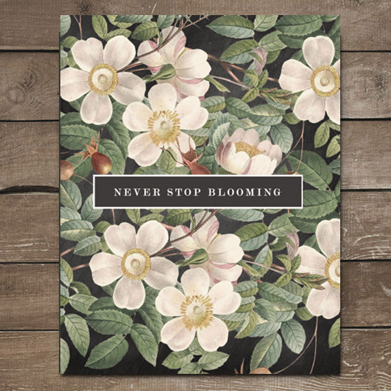 Never Stop Blooming