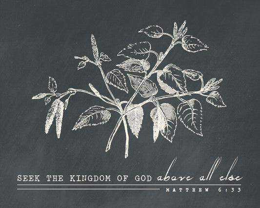 Seek the Kingdom Above All Else